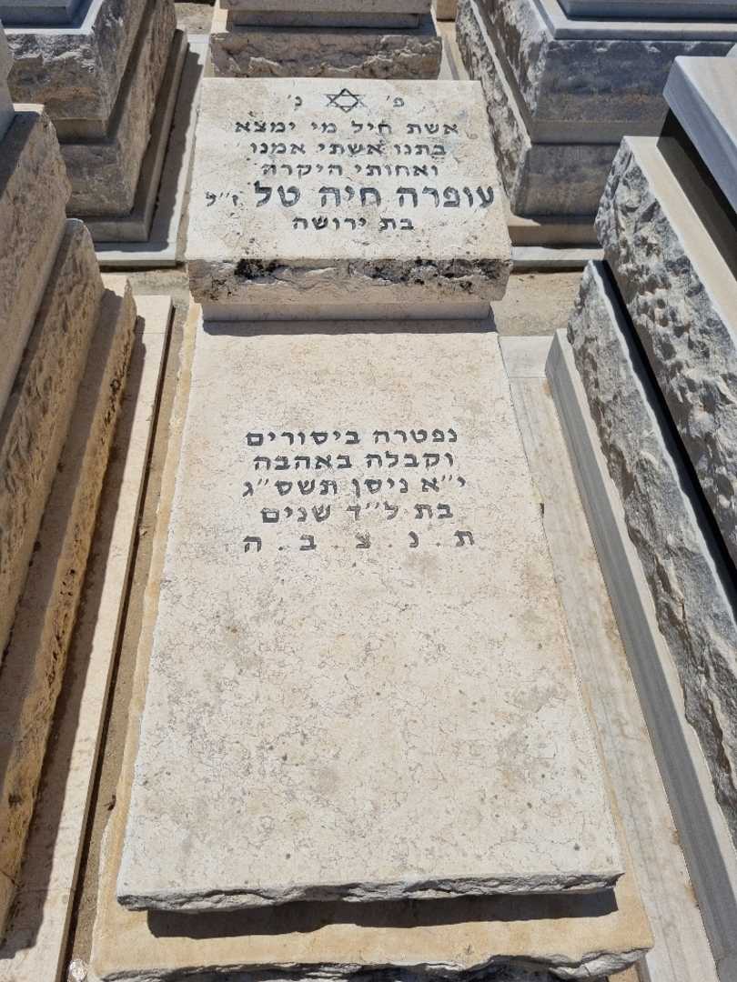 קברו של עופרה טל. תמונה 1