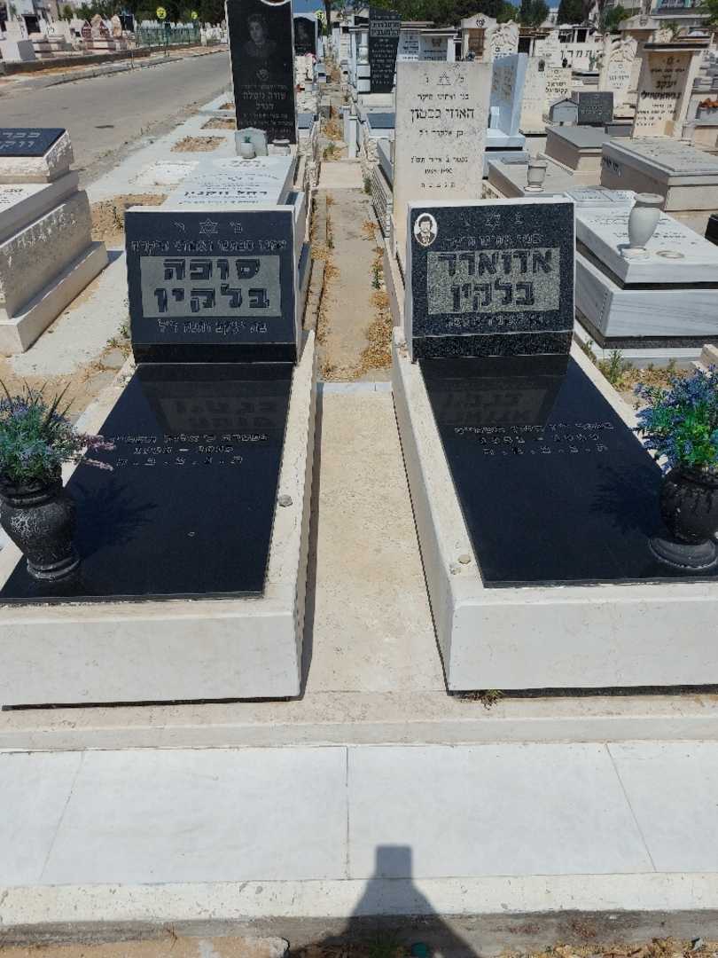 קברו של סופה בלקין. תמונה 2