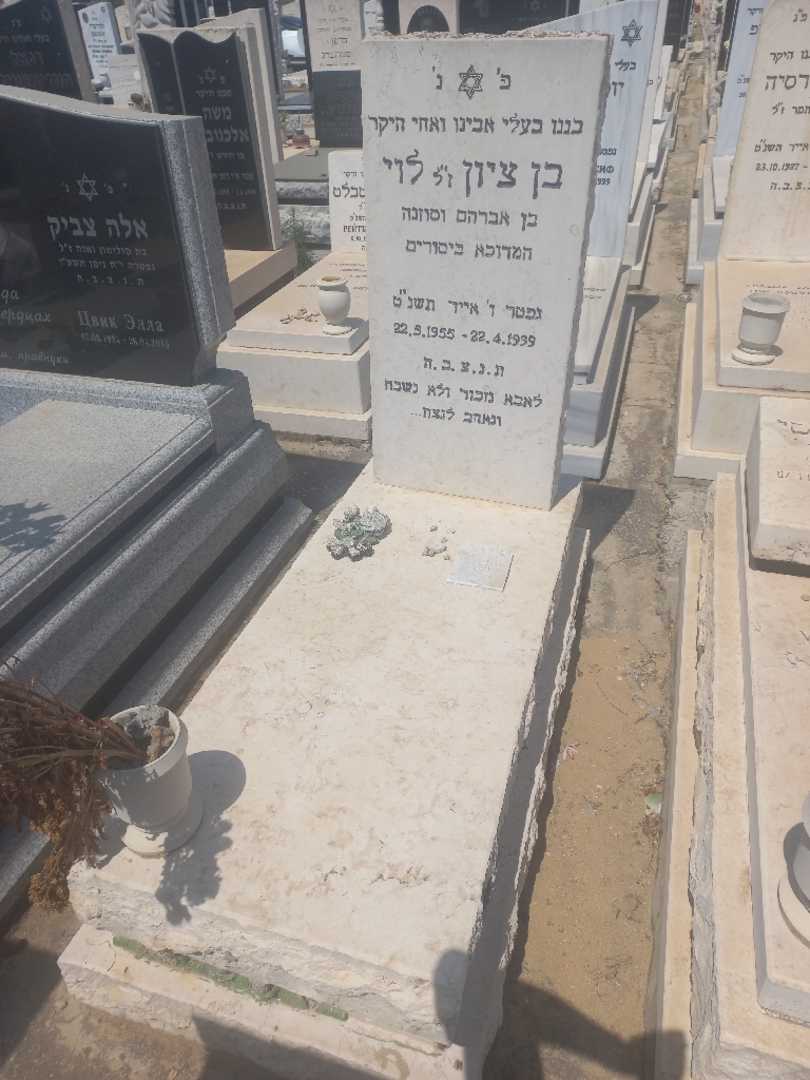 קברו של בן ציון לוי. תמונה 1