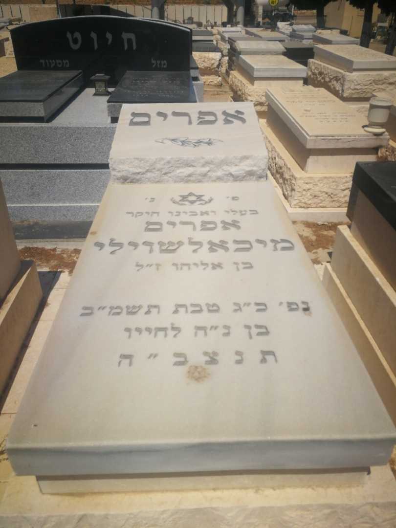 קברו של אפרים מיכאלשוילי. תמונה 1