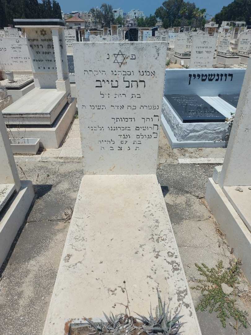 קברו של רחל טייב. תמונה 1