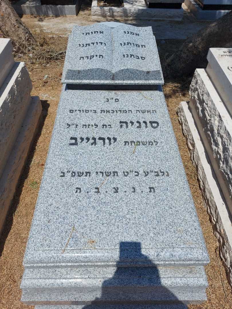 קברו של סוניה יורגייב. תמונה 1