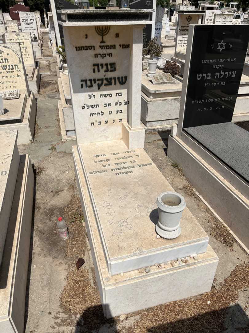 קברו של פניה שוצ'קינה. תמונה 1