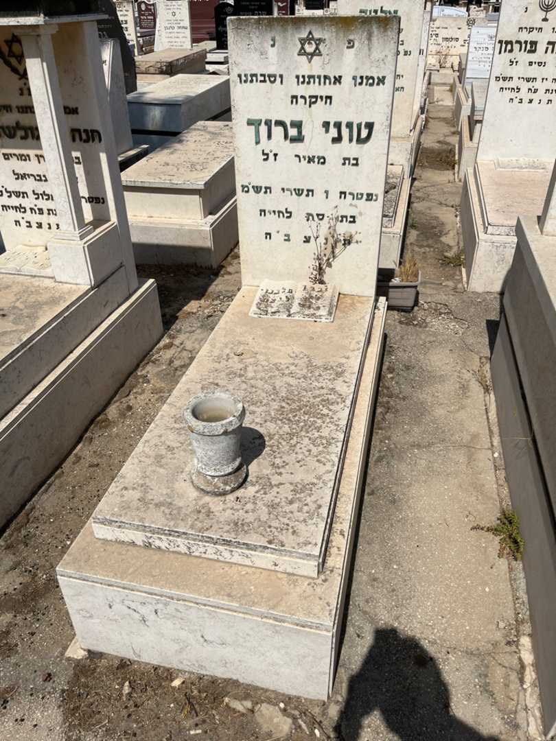 קברו של טוני בורך. תמונה 1