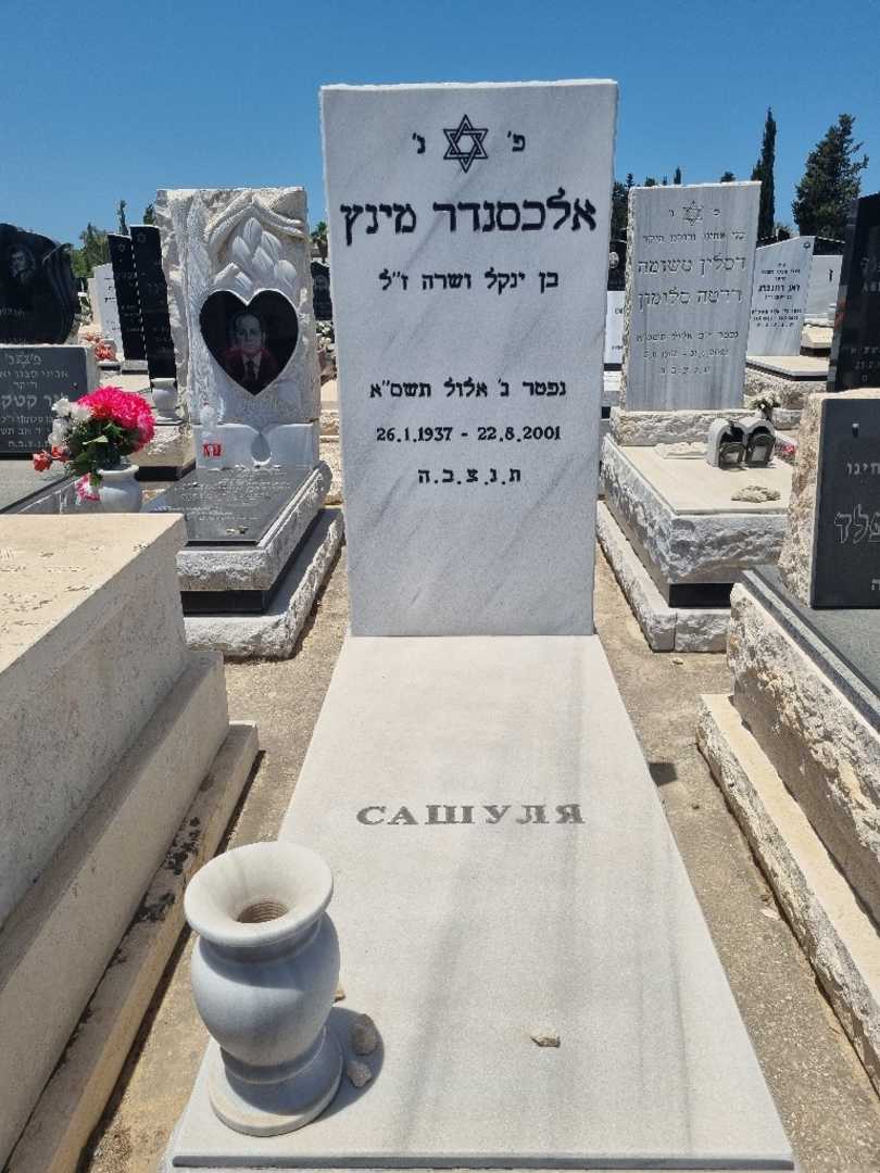 קברו של אלכסנדר מינץ. תמונה 1