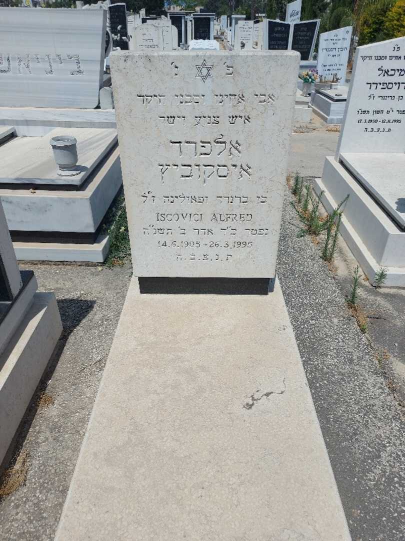 קברו של אלפרד איסקוביץ. תמונה 1
