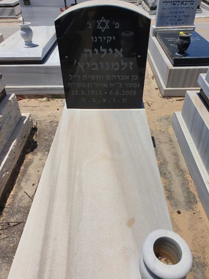 קברו של איליה זלמנוביץ'. תמונה 1