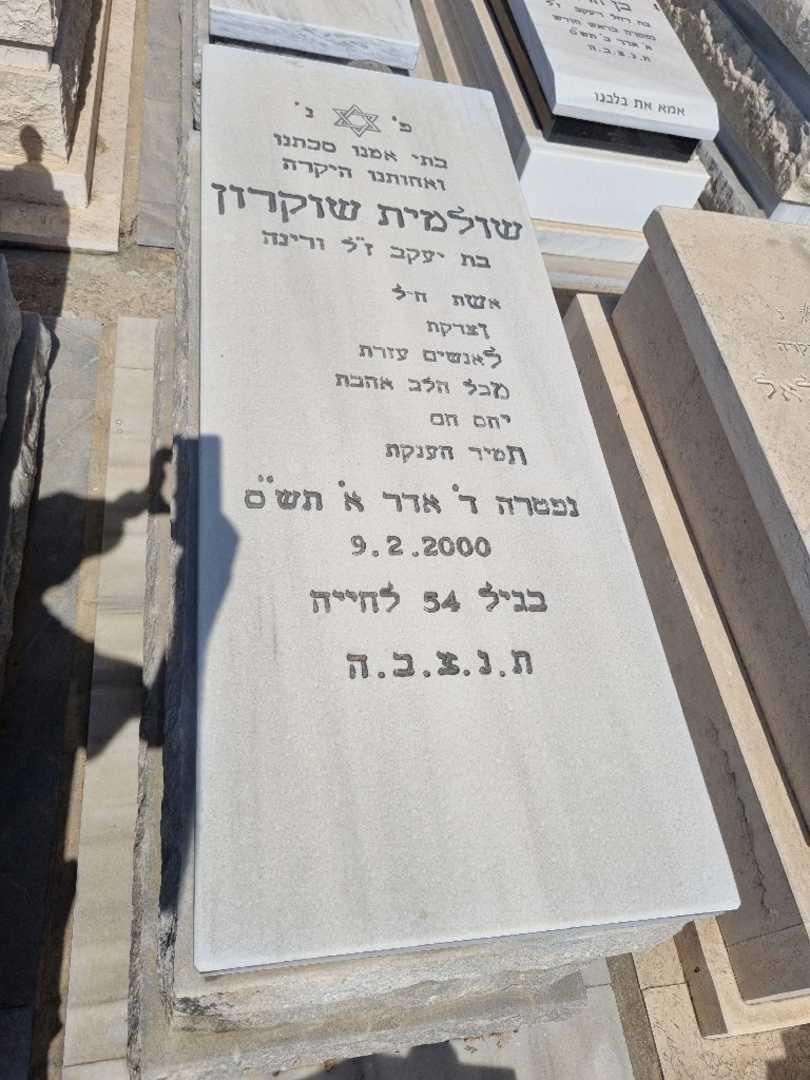 קברו של שולמית שוקרון. תמונה 1