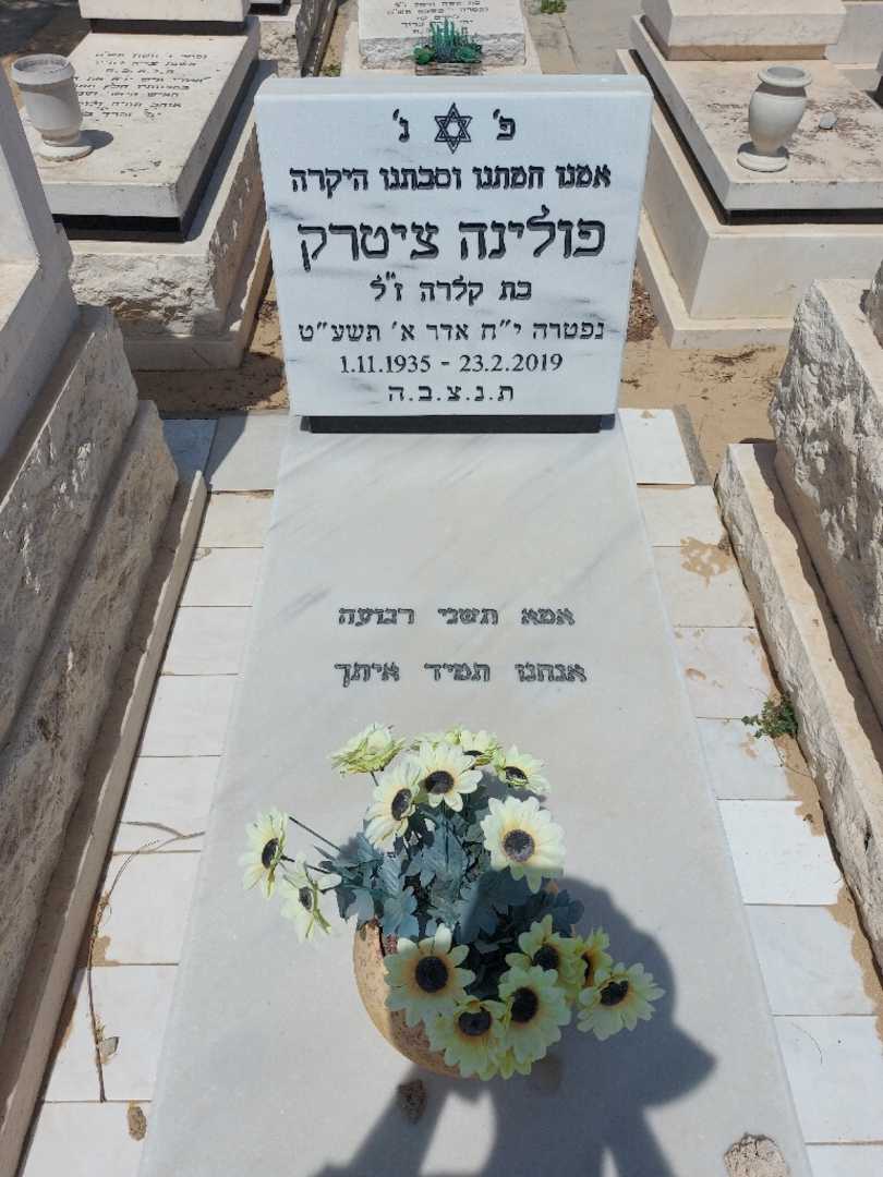 קברו של פולינה ציטרק. תמונה 1