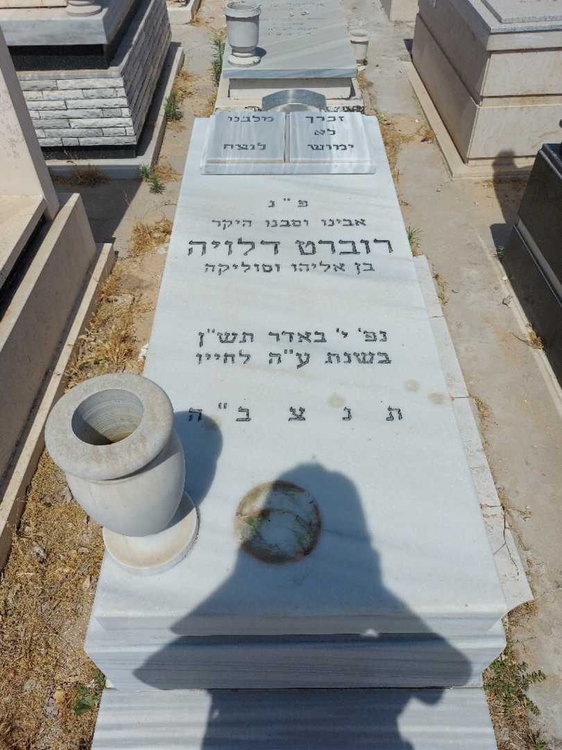 קברו של רוברט דלויה. תמונה 1