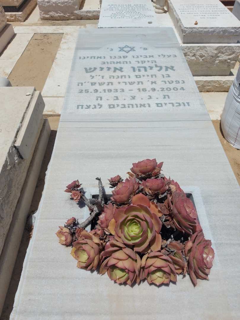קברו של אליהו אייש. תמונה 1