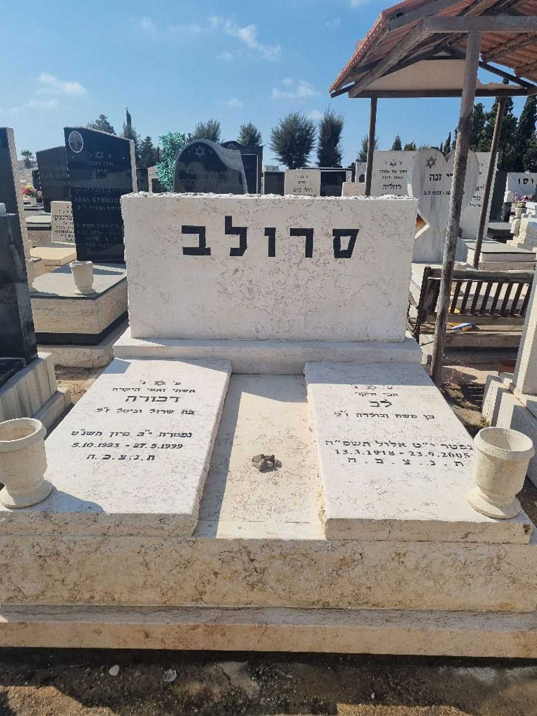 קברו של לב סרולב. תמונה 5