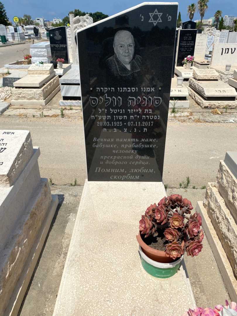 קברו של שורה ווליס. תמונה 1