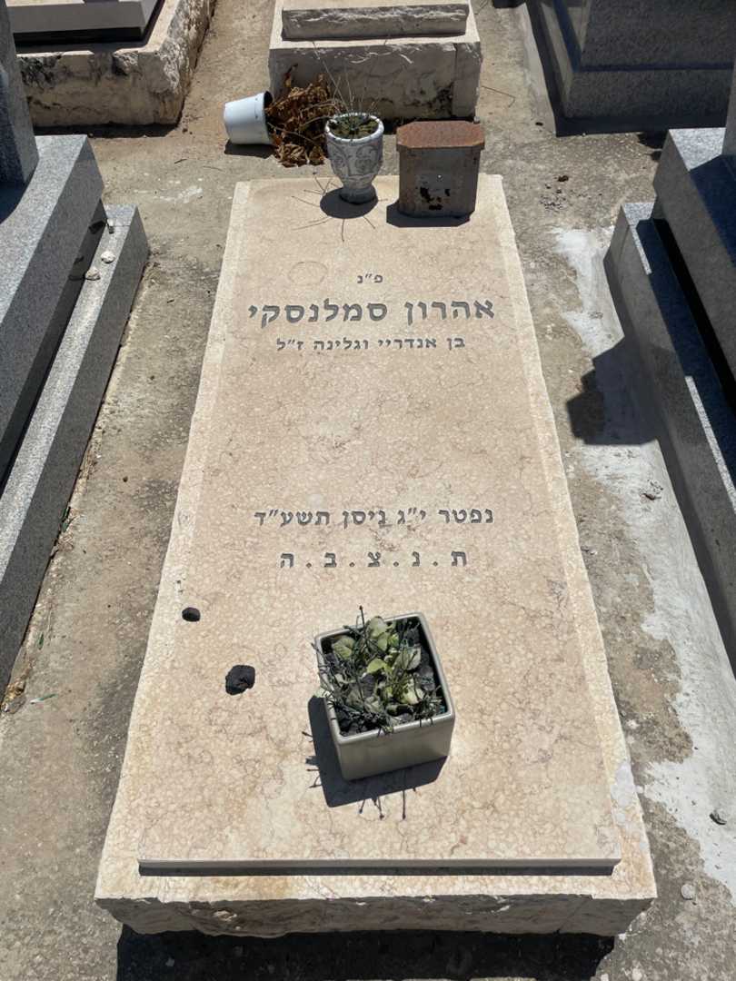 קברו של אהרון סמילנסקי. תמונה 1