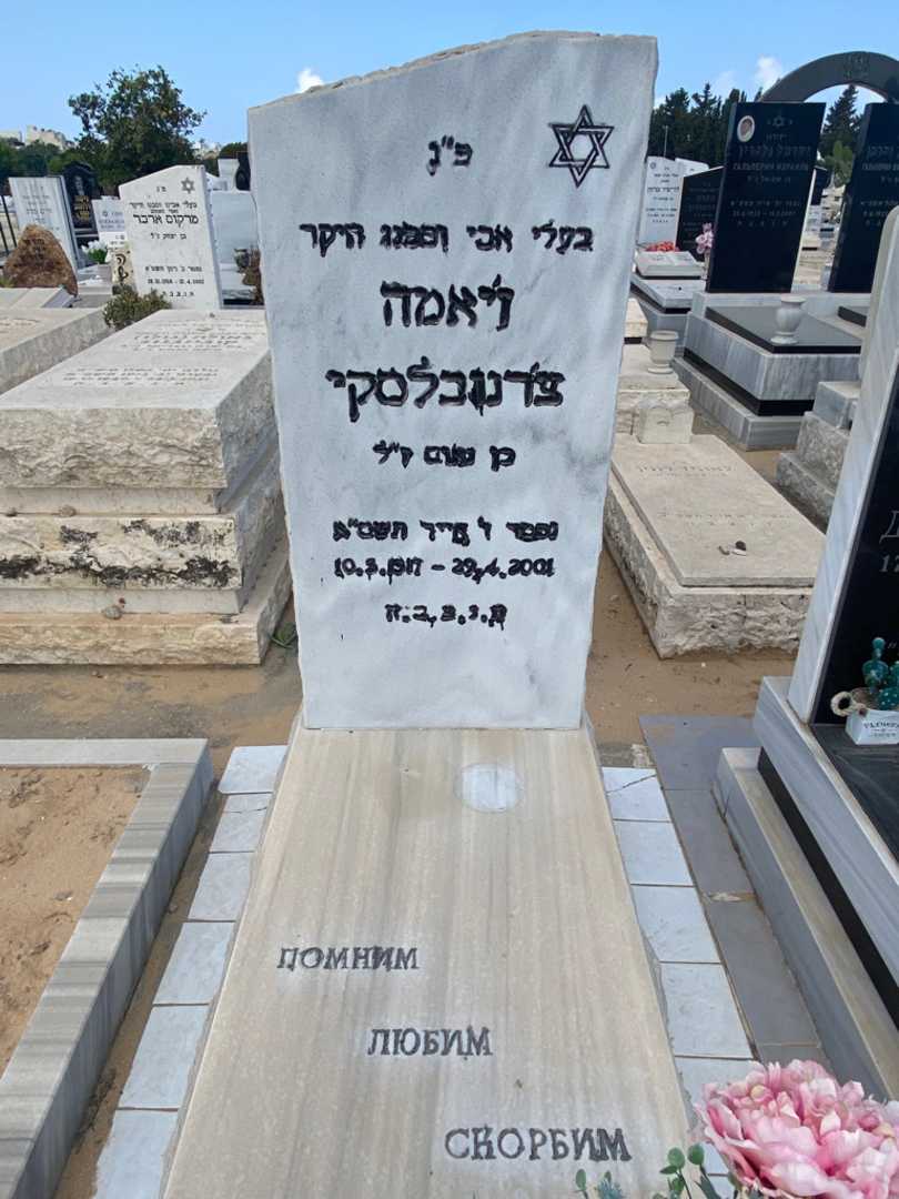 קברו של זיאמה צרנובלסקי. תמונה 3