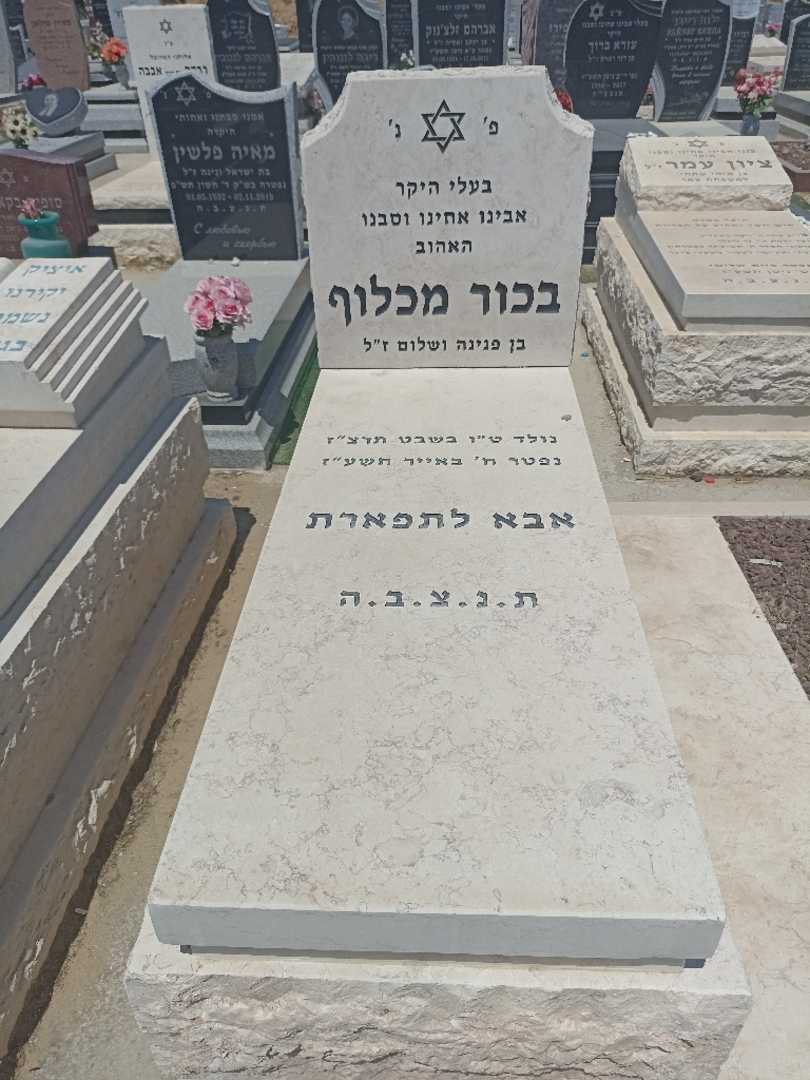 קברו של בכור מחלוף. תמונה 2