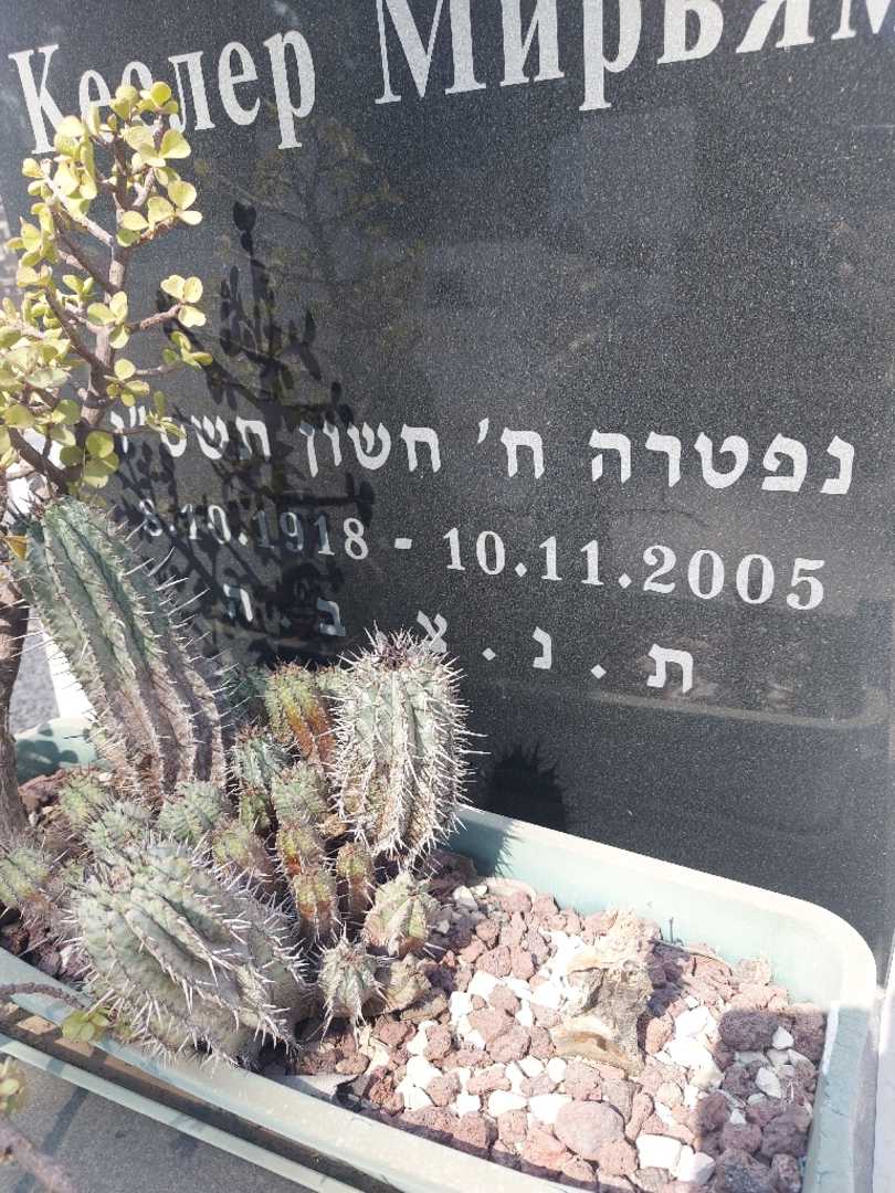 קברו של מרים קסלר. תמונה 2