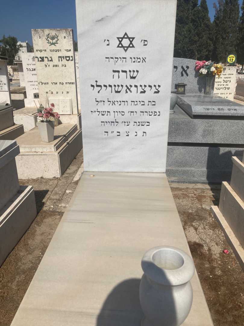 קברו של שרה ציציאשוילי. תמונה 1