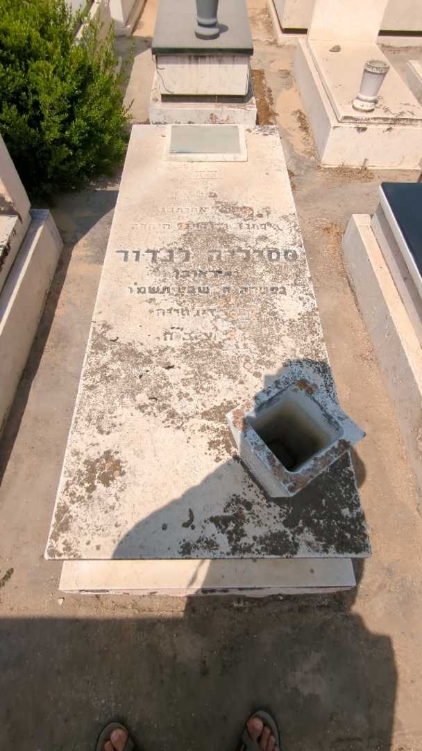 קברו של ציציליה לנדור. תמונה 2