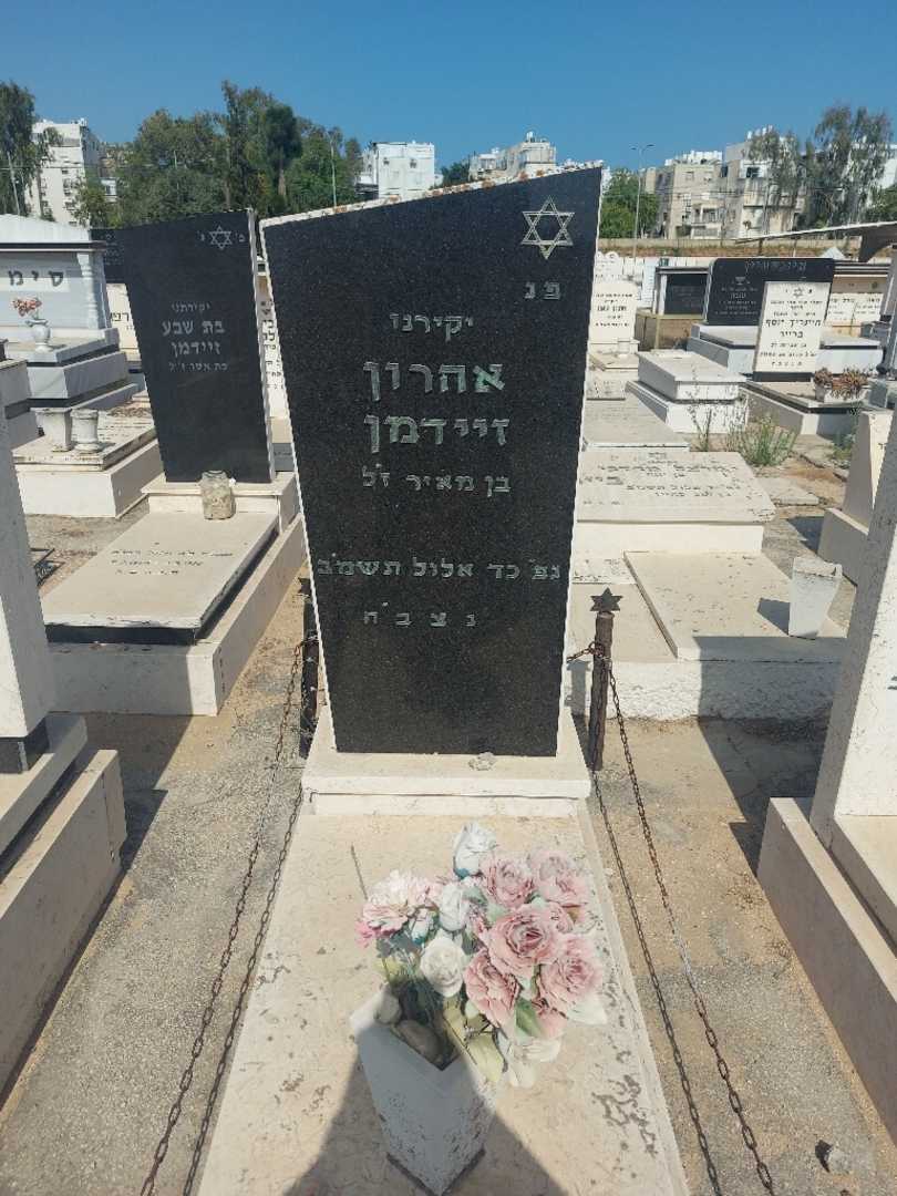 קברו של אהרון זיידמן. תמונה 1