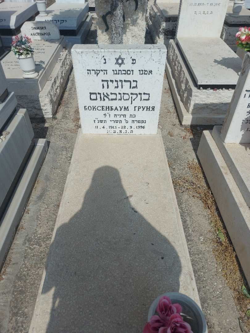 קברו של גרוניה בוקסנבאום. תמונה 1
