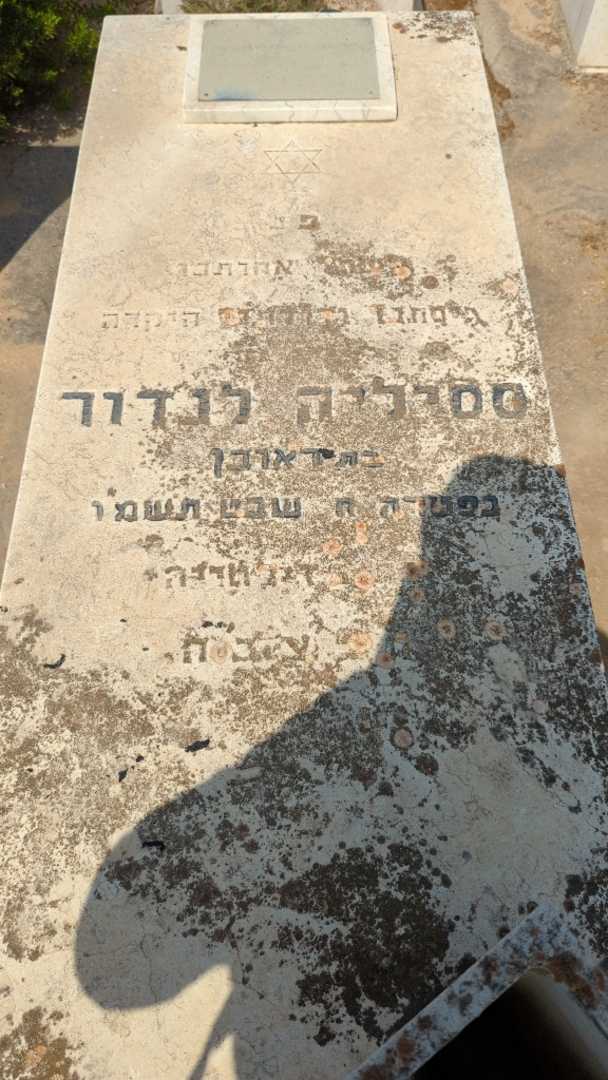 קברו של ציציליה לנדור. תמונה 3