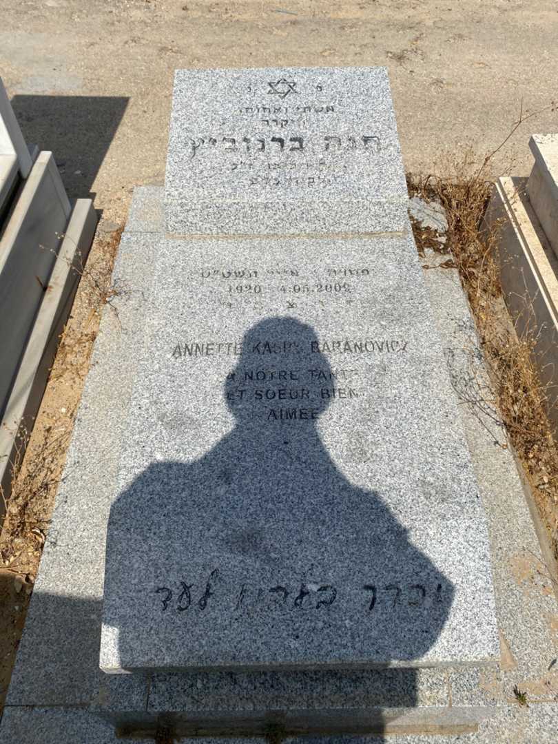 קברו של אנט ברנוביץ. תמונה 1