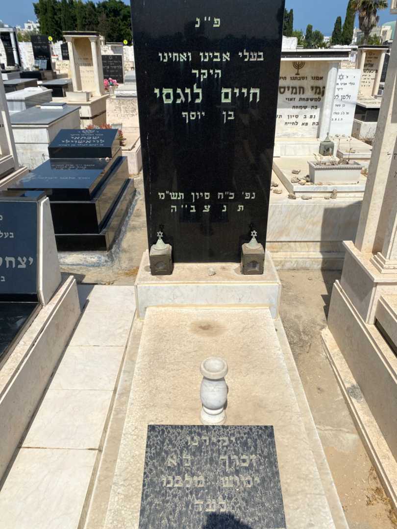 קברו של ויקטור לוגסי. תמונה 1