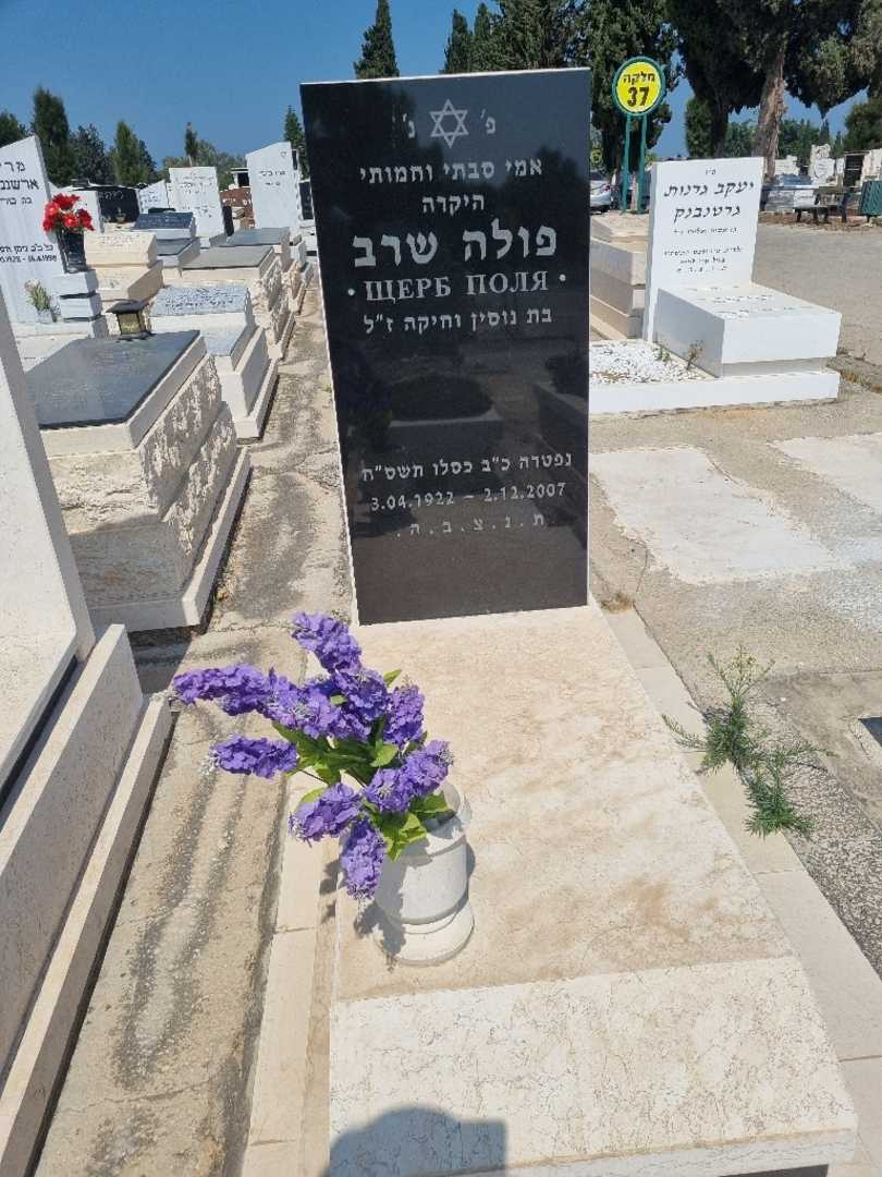 קברו של פולה שרב. תמונה 1