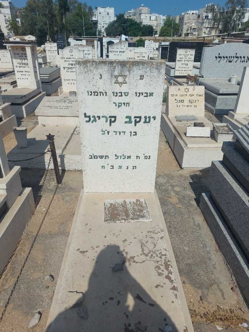 קברו של יעקב קריגל. תמונה 1