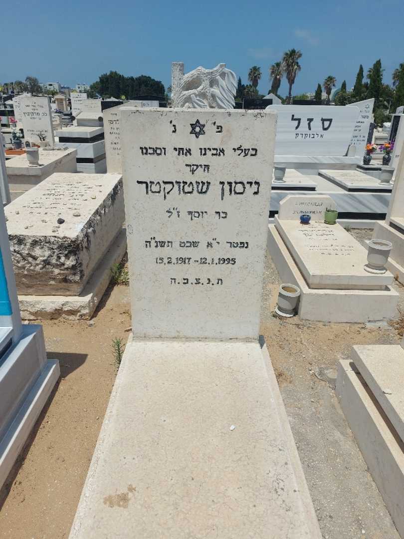 קברו של ניסון שטוקטר. תמונה 1
