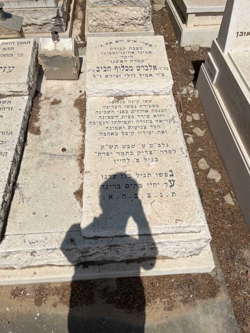 קברו של אלברט מכלו חביב. תמונה 2