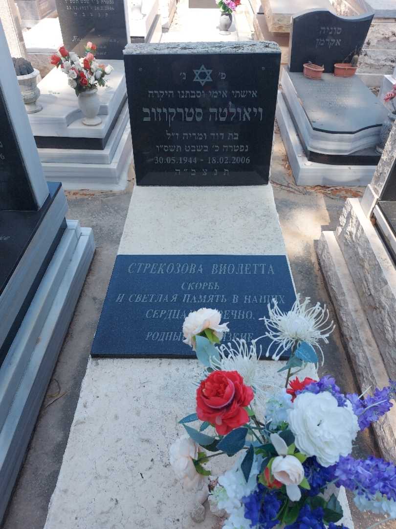 קברו של ויאולטה סטרקוזוב. תמונה 1