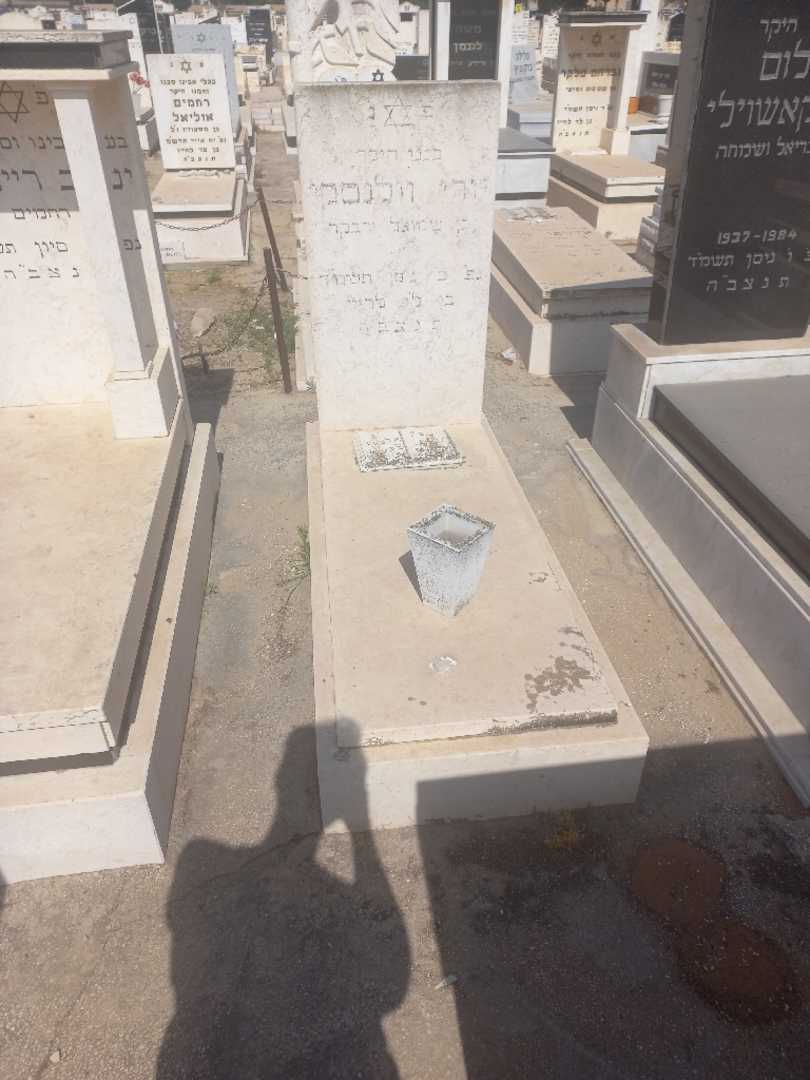 קברו של יורי ווילינסקי. תמונה 1