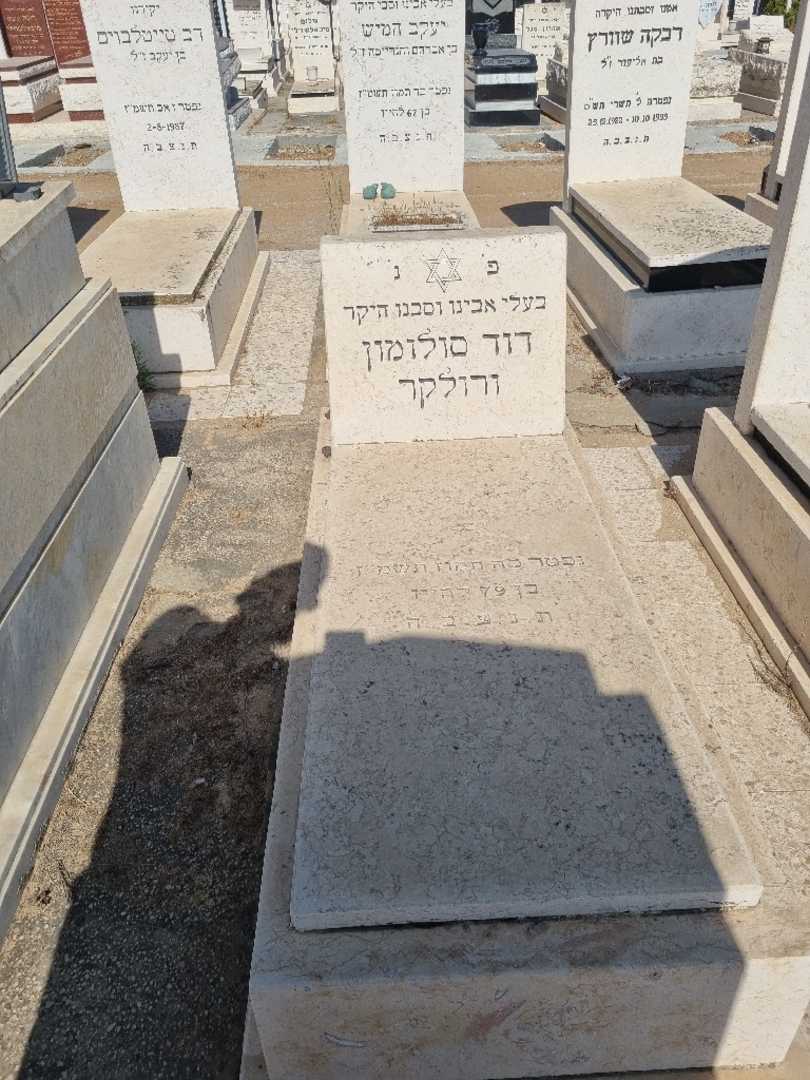 קברו של דוד סולומון ורולקר. תמונה 1