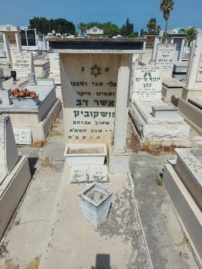 קברו של אשר מושקוביץ. תמונה 1