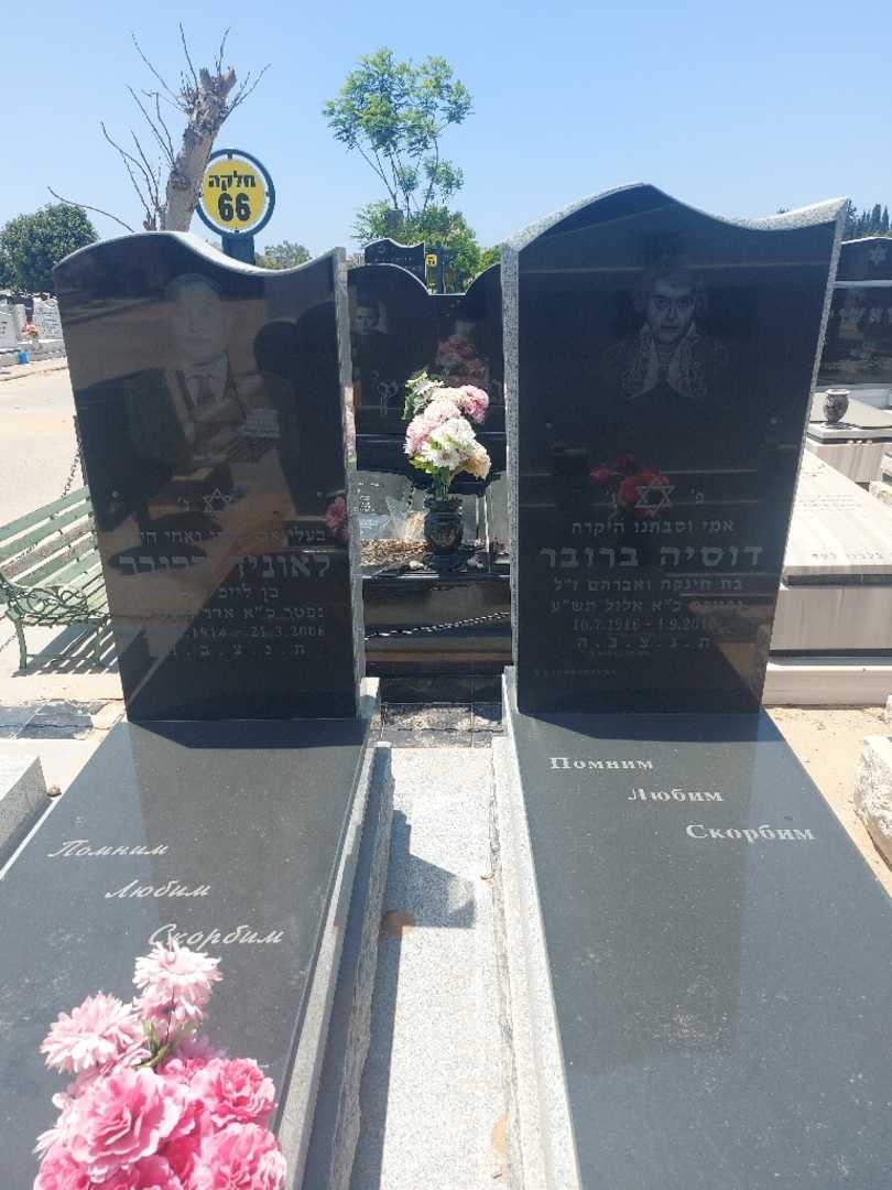 קברו של דוסיה ברובר. תמונה 1