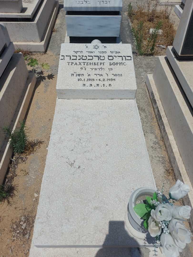 קברו של בוריס טרכטנברג. תמונה 1