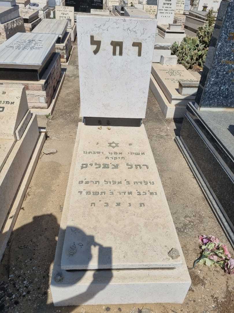 קברו של רחל צפליק. תמונה 1
