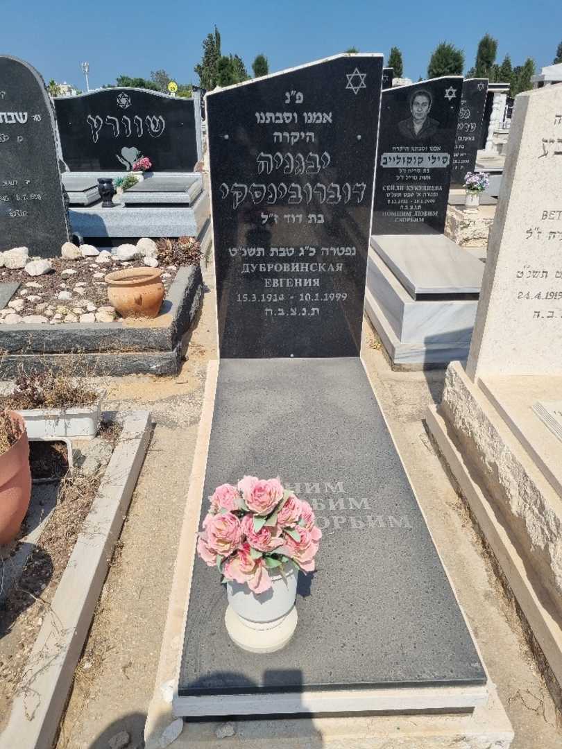 קברו של יבגניה דוברובינסקי. תמונה 1