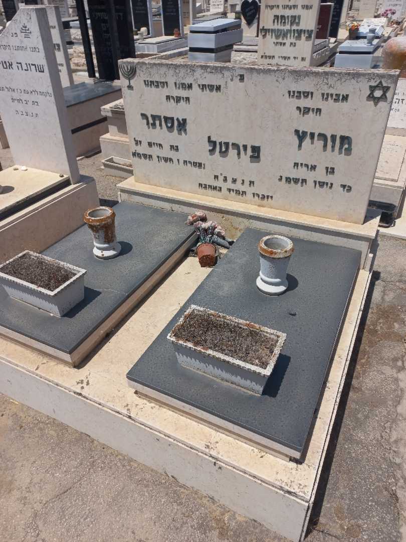 קברו של מוריץ פירטל. תמונה 2
