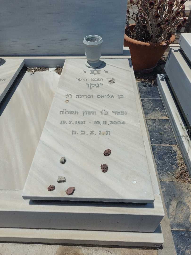 קברו של ינקו פרידמן. תמונה 1
