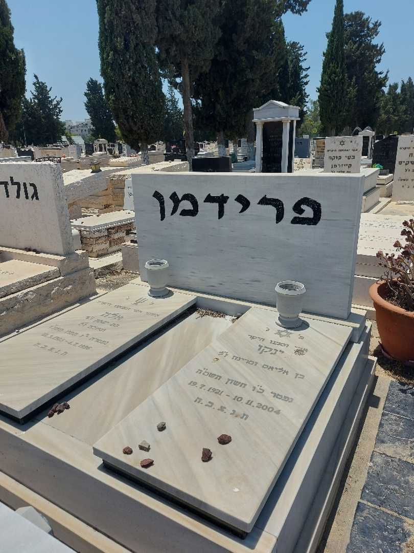 קברו של ינקו פרידמן. תמונה 2