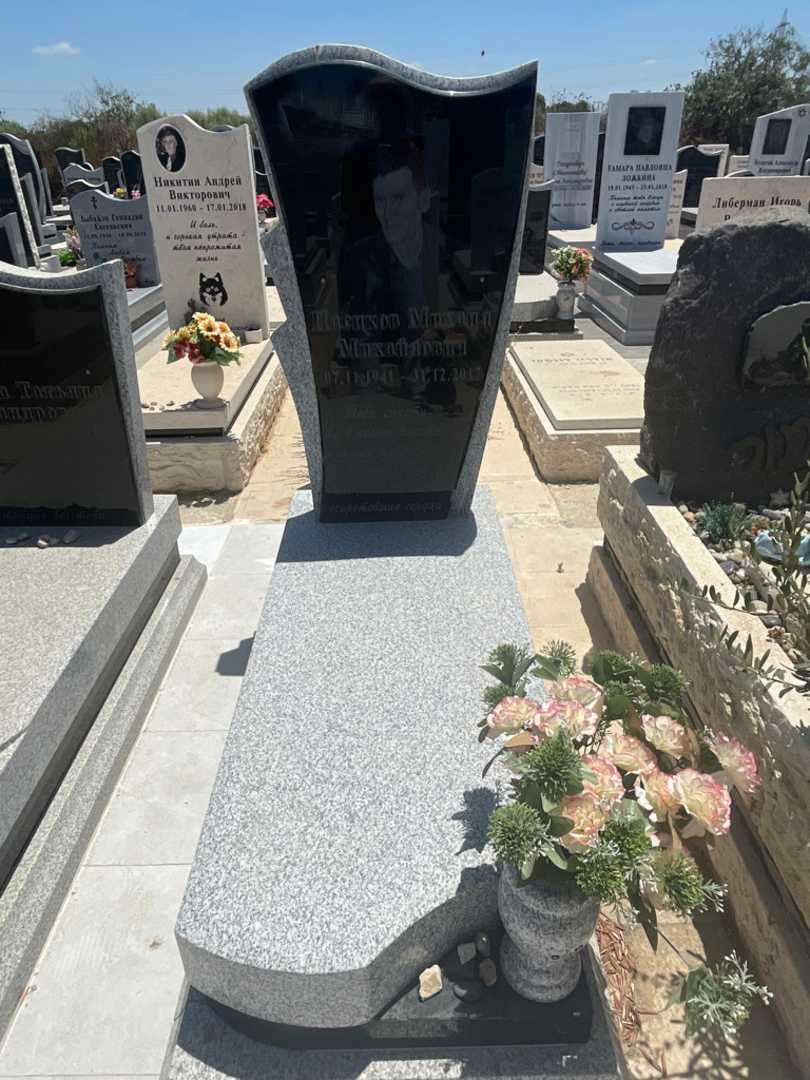 קברו של מיכאל פסיקוב. תמונה 1