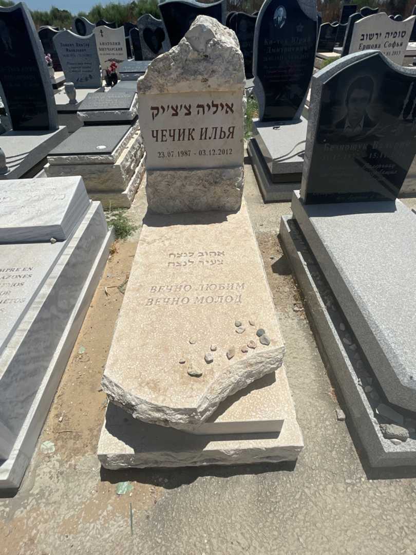 קברו של איליה צ'ציק. תמונה 1