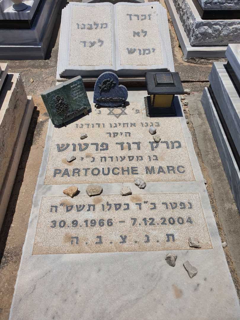 קברו של דוד פרטוש. תמונה 1