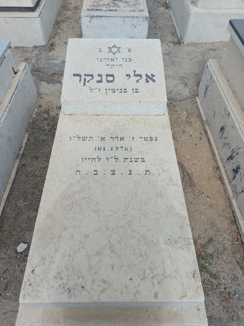 קברו של אליס סנקר. תמונה 1