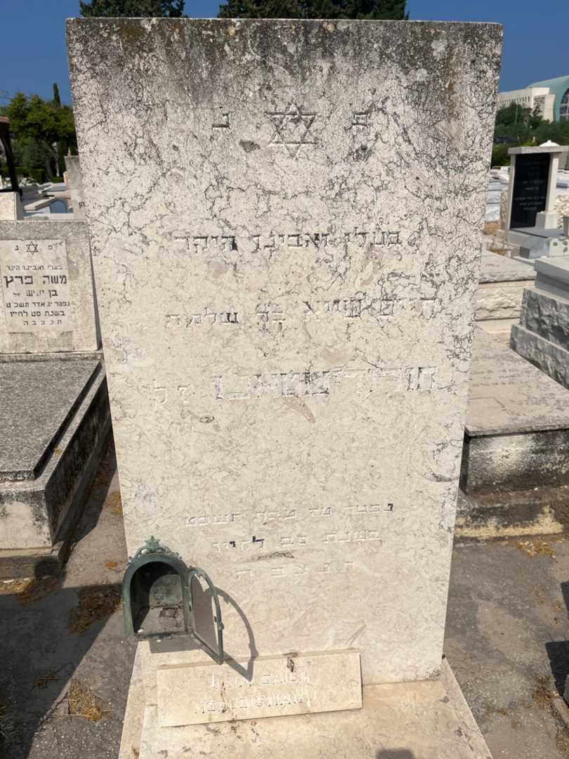 קברו של שייה חורודישטאנו. תמונה 3