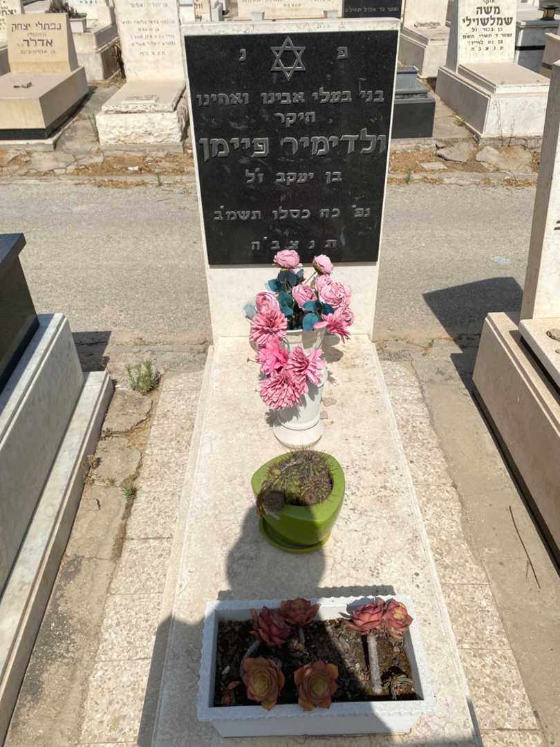 קברו של ולדימיר פיימן. תמונה 1