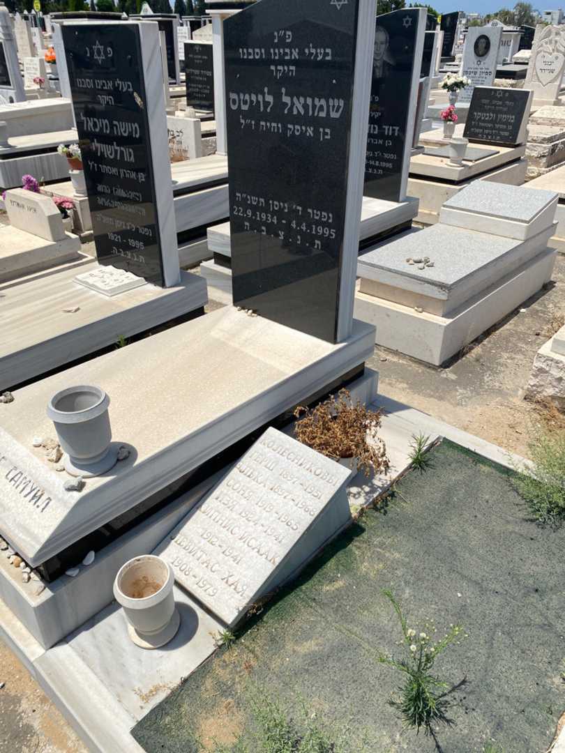 קברו של חיה לויטס. תמונה 1